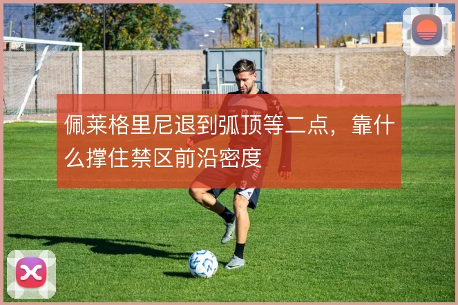 佩莱格里尼退到弧顶等二点，靠什么撑住禁区前沿密度