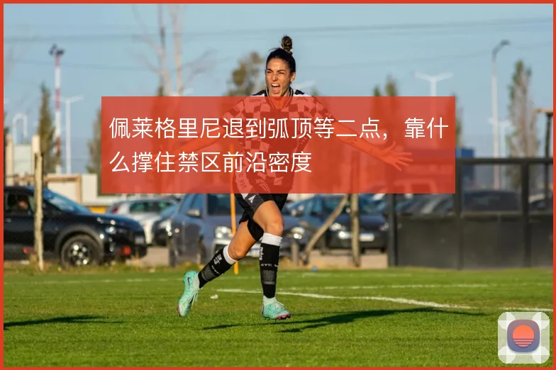 佩莱格里尼退到弧顶等二点，靠什么撑住禁区前沿密度