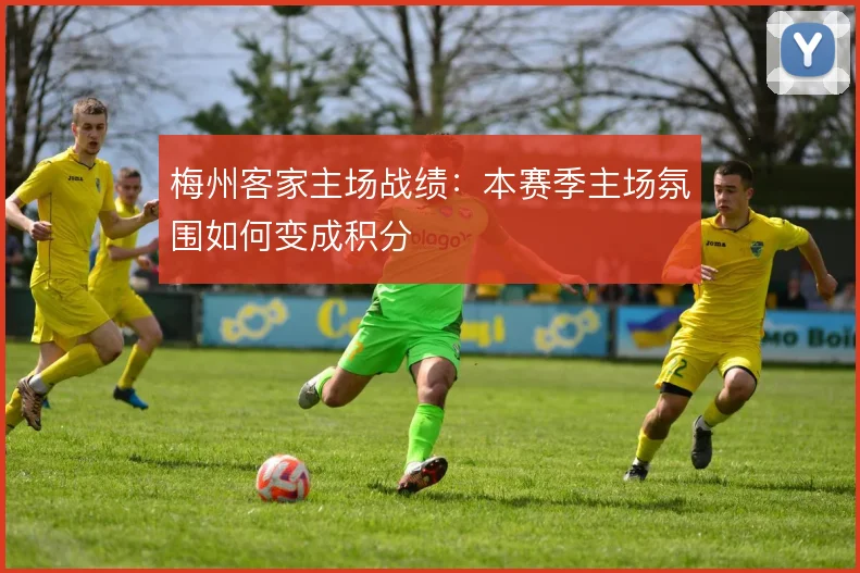 梅州客家主场战绩:本赛季主场氛围如何变成积分
