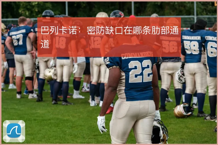 巴列卡诺:密防缺口在哪条肋部通道
